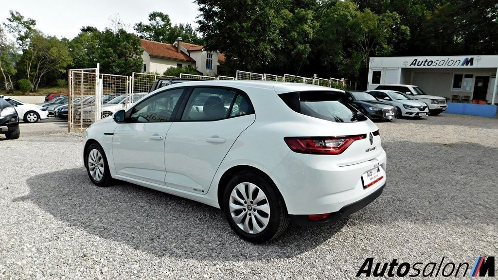 Renault Megane 2019DSCN4492