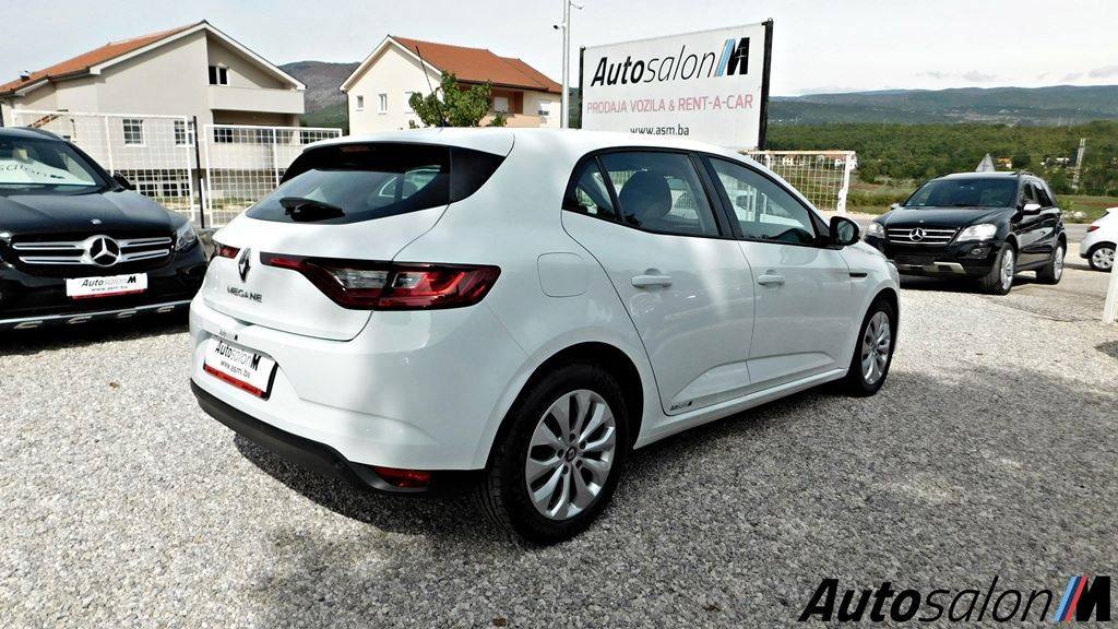 Renault Megane 2019DSCN4494